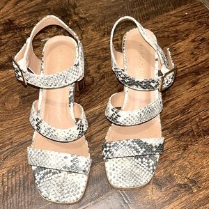 Madden girl barely worn size 6 heels in snake print